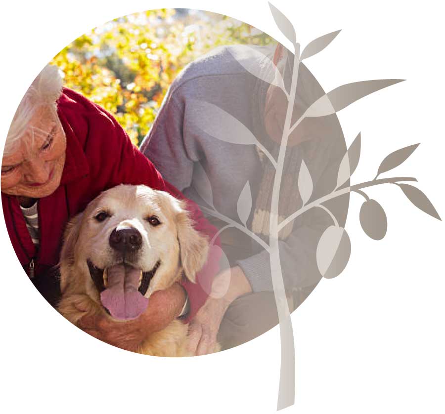 Seniors and dog at the pets welcome aged care facility.